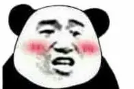 liga champion Lao Shen: ...Apakah mata anak beruang ini terlihat begitu serius? !